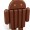 Flash Player Android 4.4